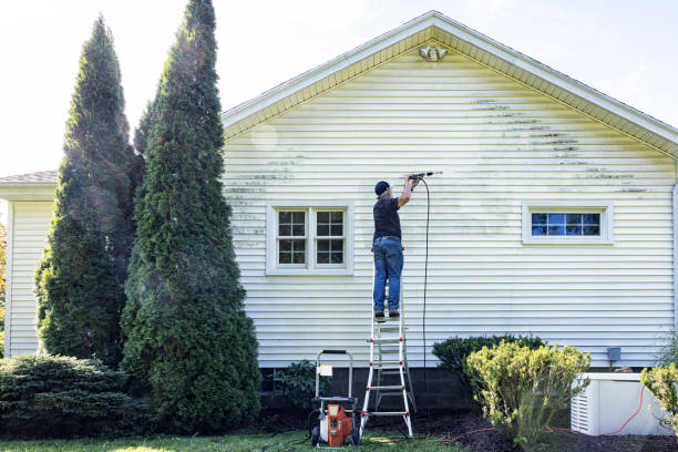 Best Sidewalk and Walkway Cleaning  in Rotonda, FL